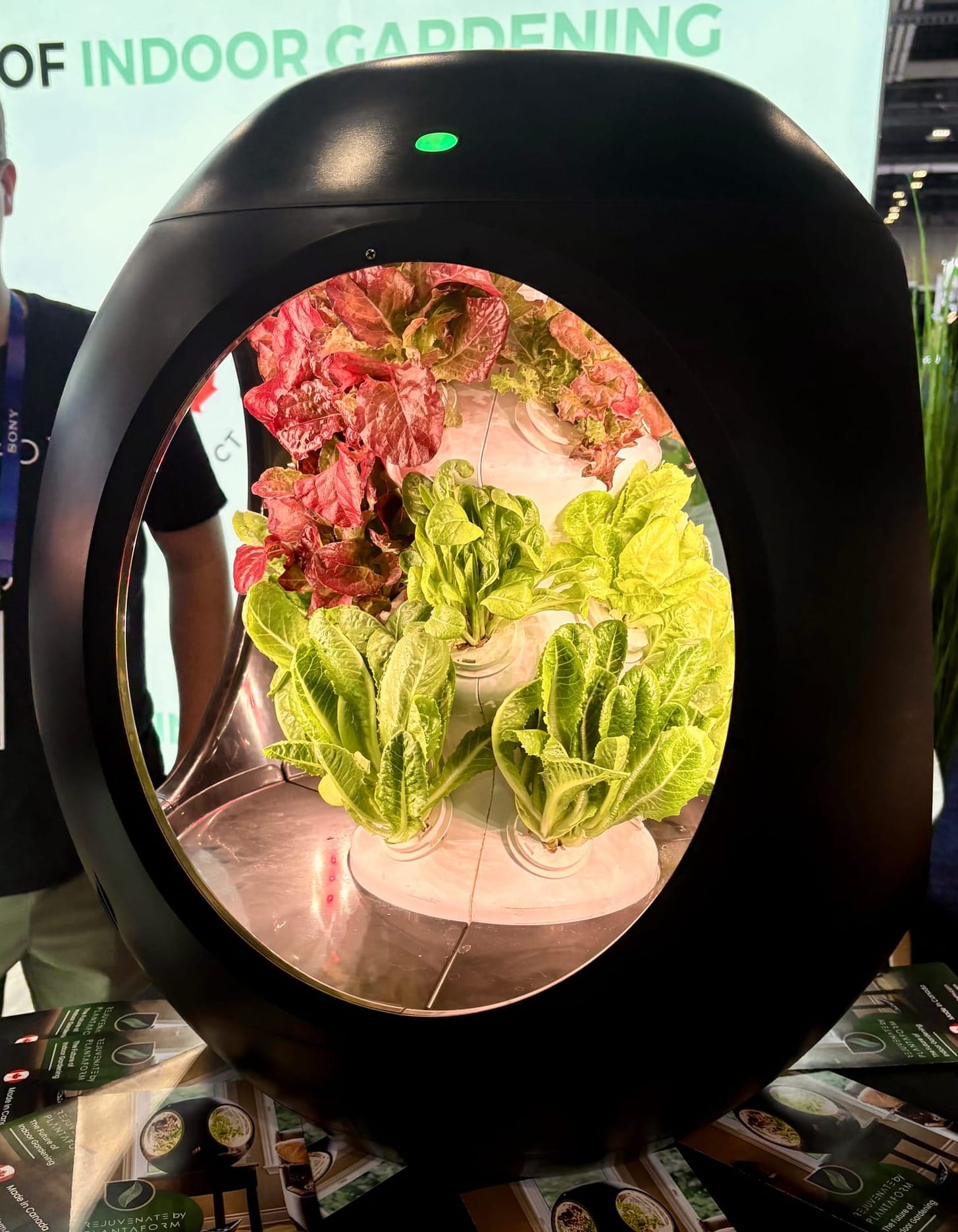 Picture of a black, futuristic indoor gardening device with a circular viewing window, showing vibrant lettuce and other greens growing inside.